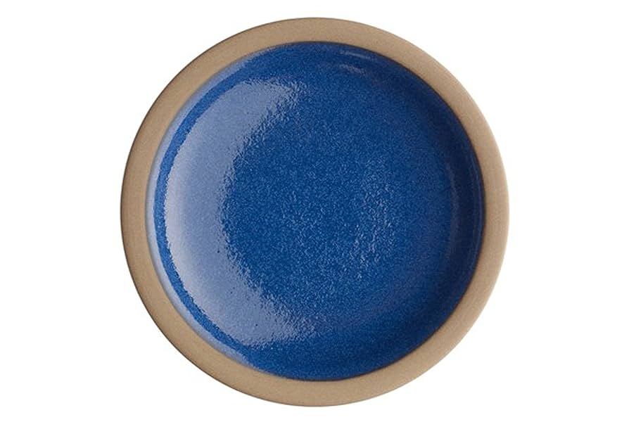 Amazon.co.jp: Heath Ceramics ヒースセラミックス Salad Plate